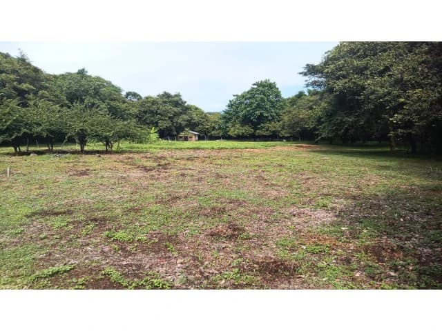 Dream Ranch for Sale with Houses and Horse Stable in Guanacaste – Great Investment Opportunity - photo 7