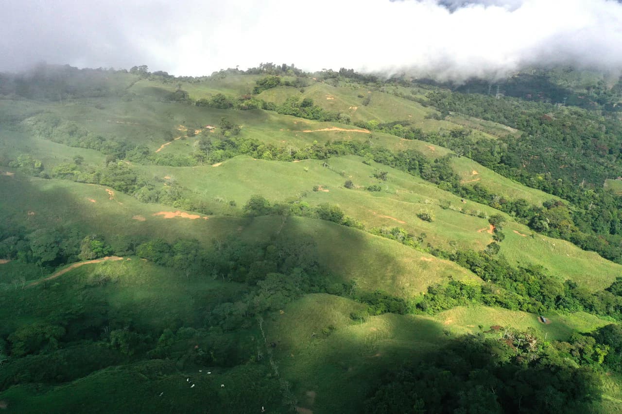 150 Acre Cattle Ranch with Panoramic Views Above the mountains of Uvita - photo 13