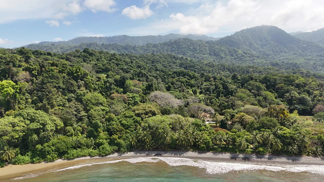 Dream Beachfront Property at Ballena Beach in Uvita, Costa Rica - photo 27