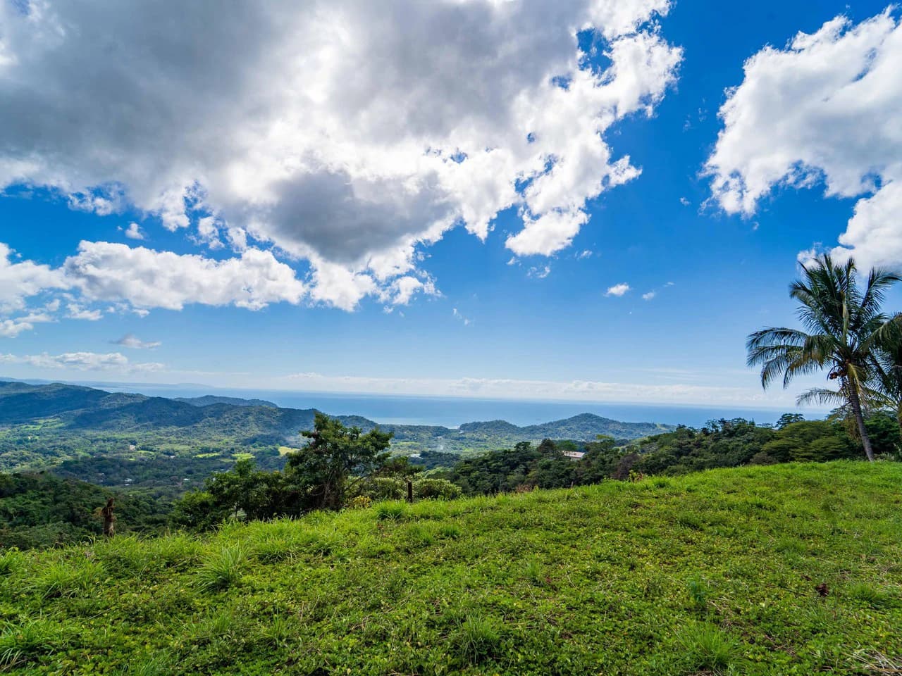 Lote Tres Palmas: Stunning Ocean View lot with 2 Platforms - photo 11