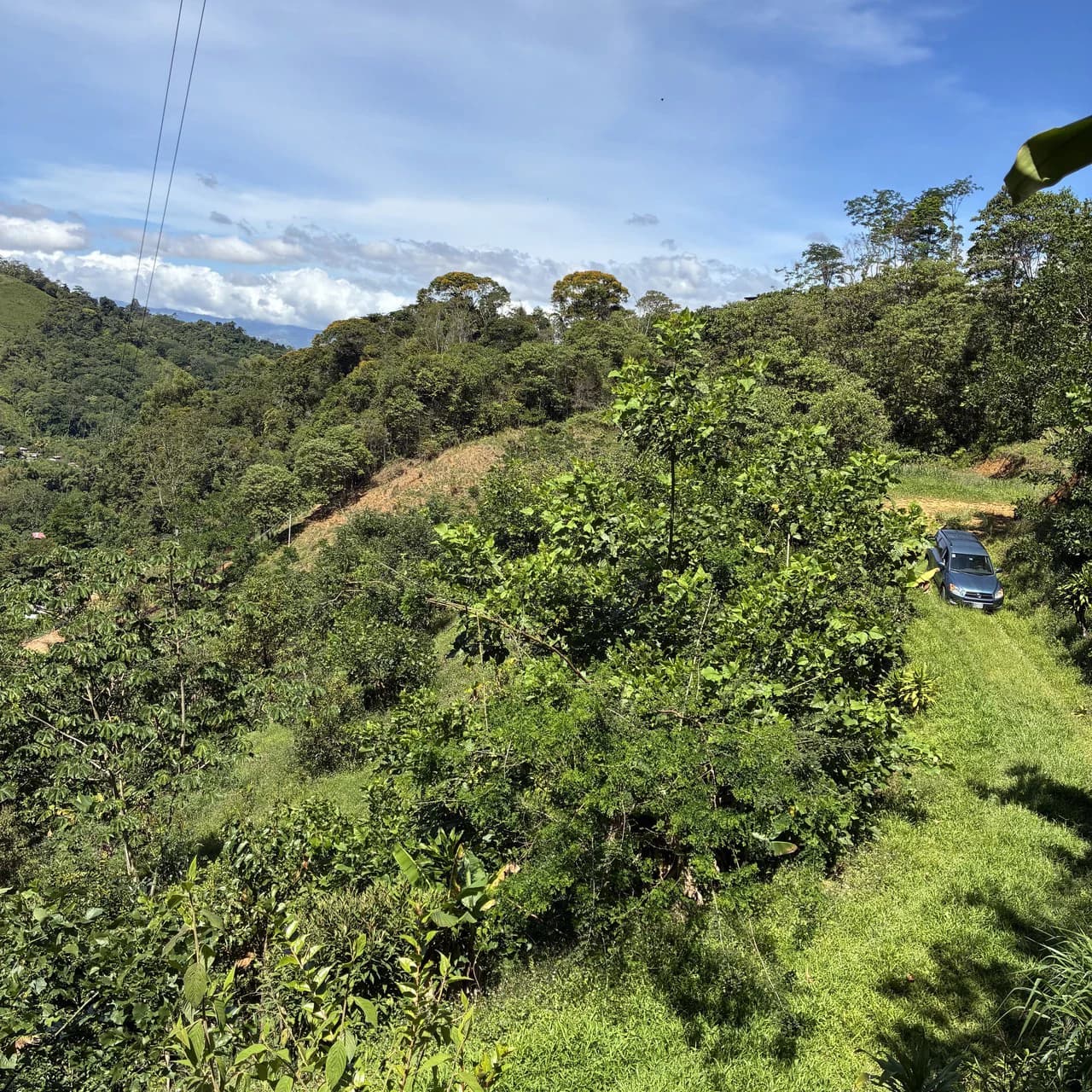 Breathtaking Mountain View Estate in Chimirol, Pérez Zeledón — 1.4 Hectares of Privacy, Nature & Potential: Mountain Home Construction Site For Sale in Chimirol - photo 11