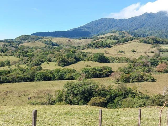 Warm Spring Mountain Property in a tropical landscape and antique wooden house, 50 minutes from Liberia city - photo 33