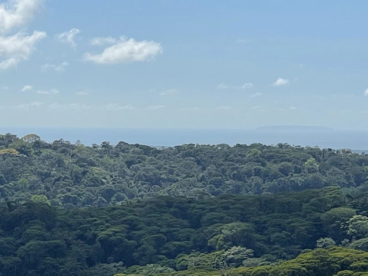Sunset Ocean View Land with Cano Island Views: Home Construction Site For Sale in Ojochal - photo 6