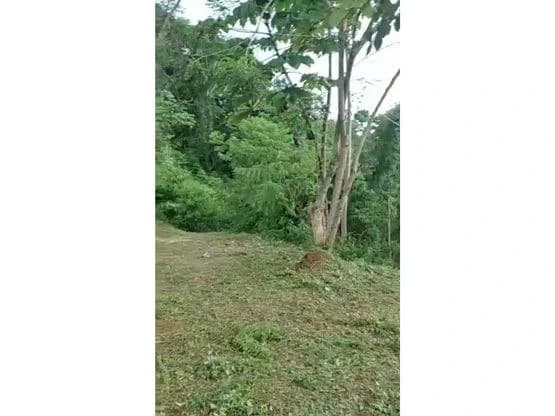 Home Construction Site For Sale in Bijagual - photo 8