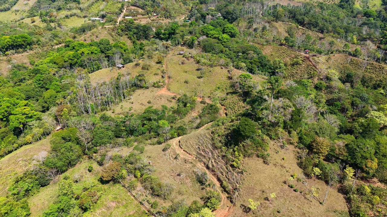2.8 HA FARM FOR SALE IN SAN LUIS DE MORETE | MOUNTAIN VIEWS AND NEAR THE OCEAN