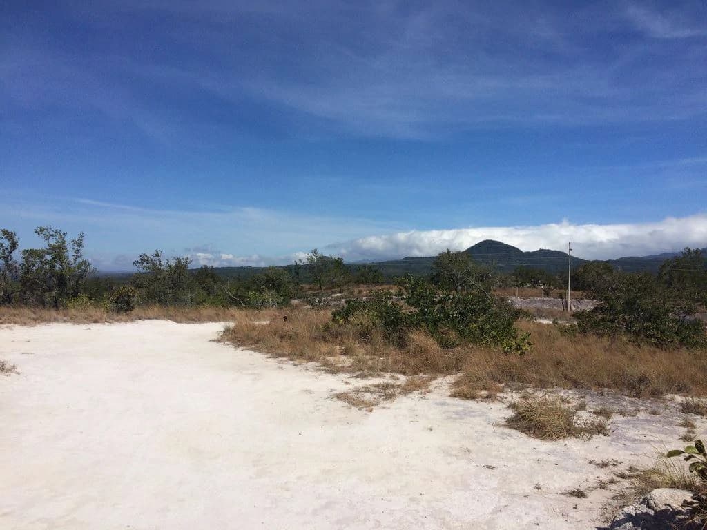 Large Property in Curubandé of Liberia - photo 17