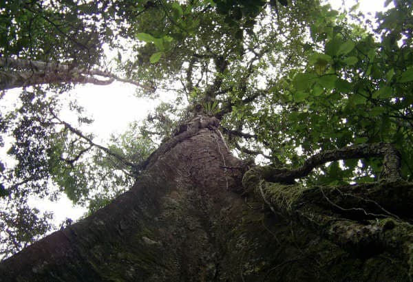 Stunning 17-Hectare Finca in Santa Elena - photo 3