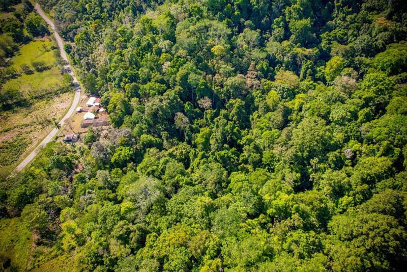 Ocean View & Primary forest 55-ha Rincon de Osa - photo 30