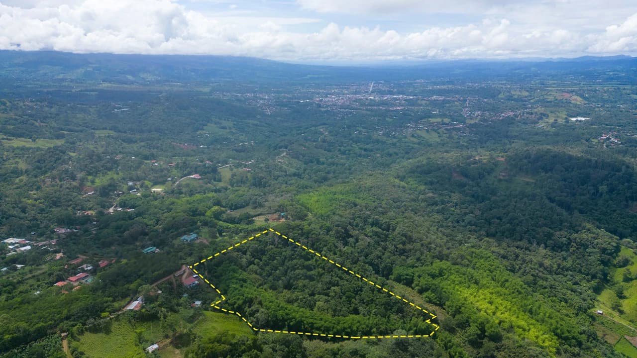 Property #1 with Bamboo Plantation, Development Opportunity (Residential, Hotel, and Industrial). - photo 17
