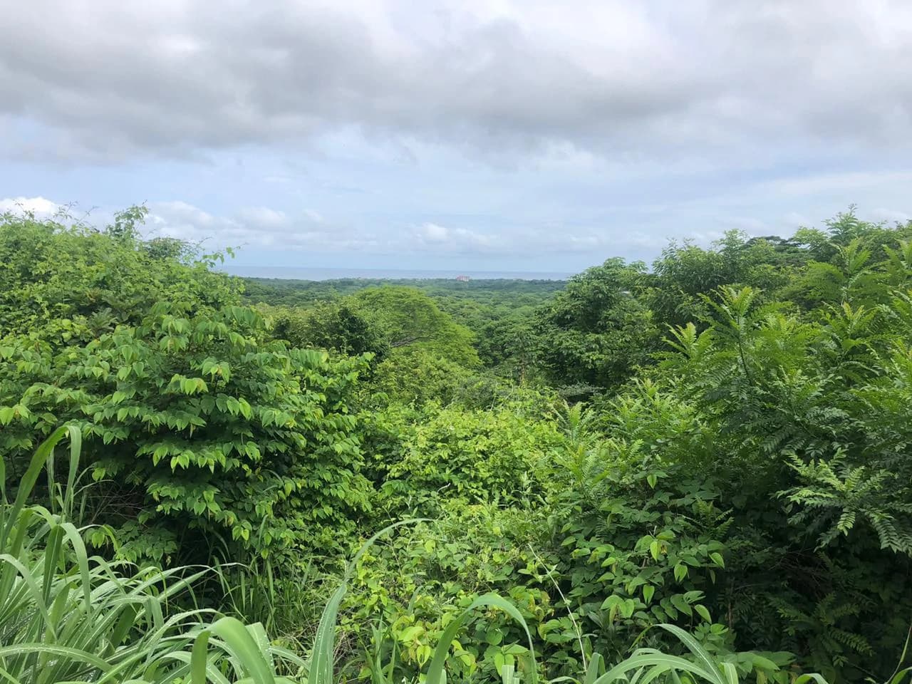 Spectacular private ocean view farm in Tamarindo, Costa Rica