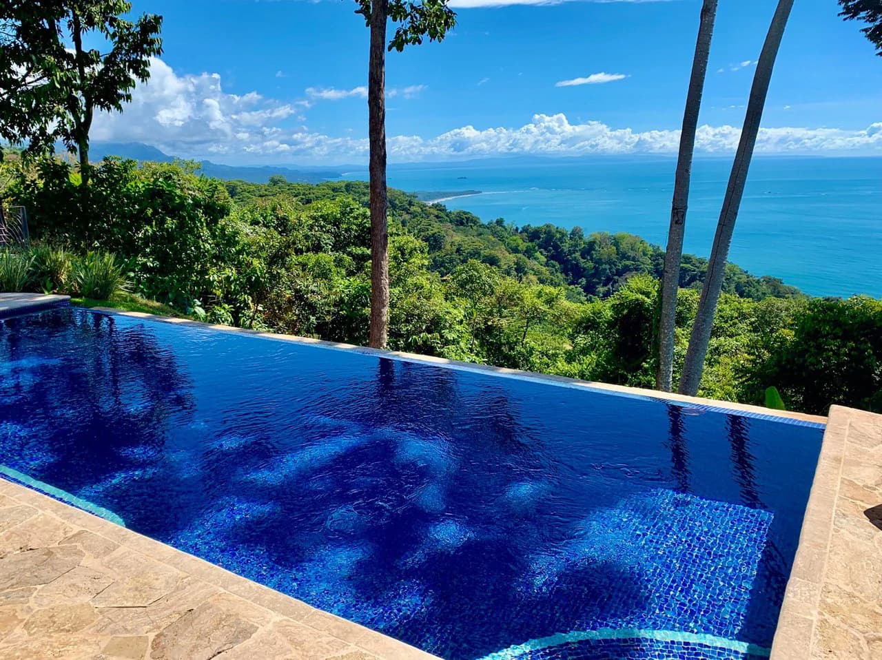 2 ACRES – 2 Bedroom Whales Tale Ocean View Home In Costa Verde Estates Gated Community!!!: 79 ACRES – Amazing Farm On Ridge Top With Whale’s Tail Ocean View And 800 Exotic Tropical Fruit Trees!!!!! - photo 43