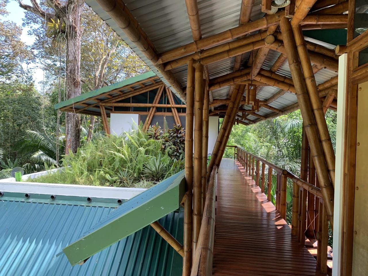 Jungle Beach Exotic Retreat - photo 19