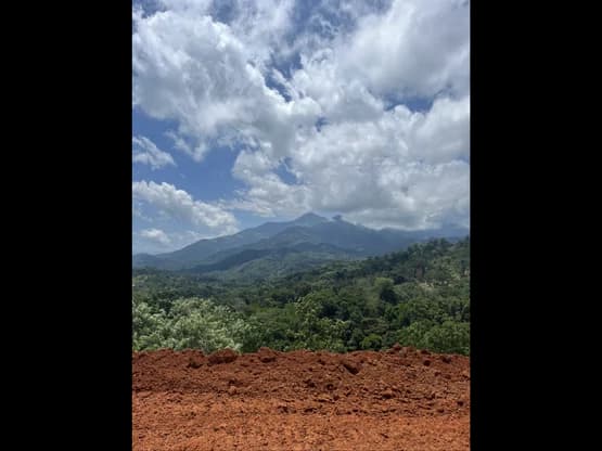 SPECTACULAR ECOLOGICAL MOUNTAIN FARM IN BIJAGUAL DE TURRUBARES - photo 20