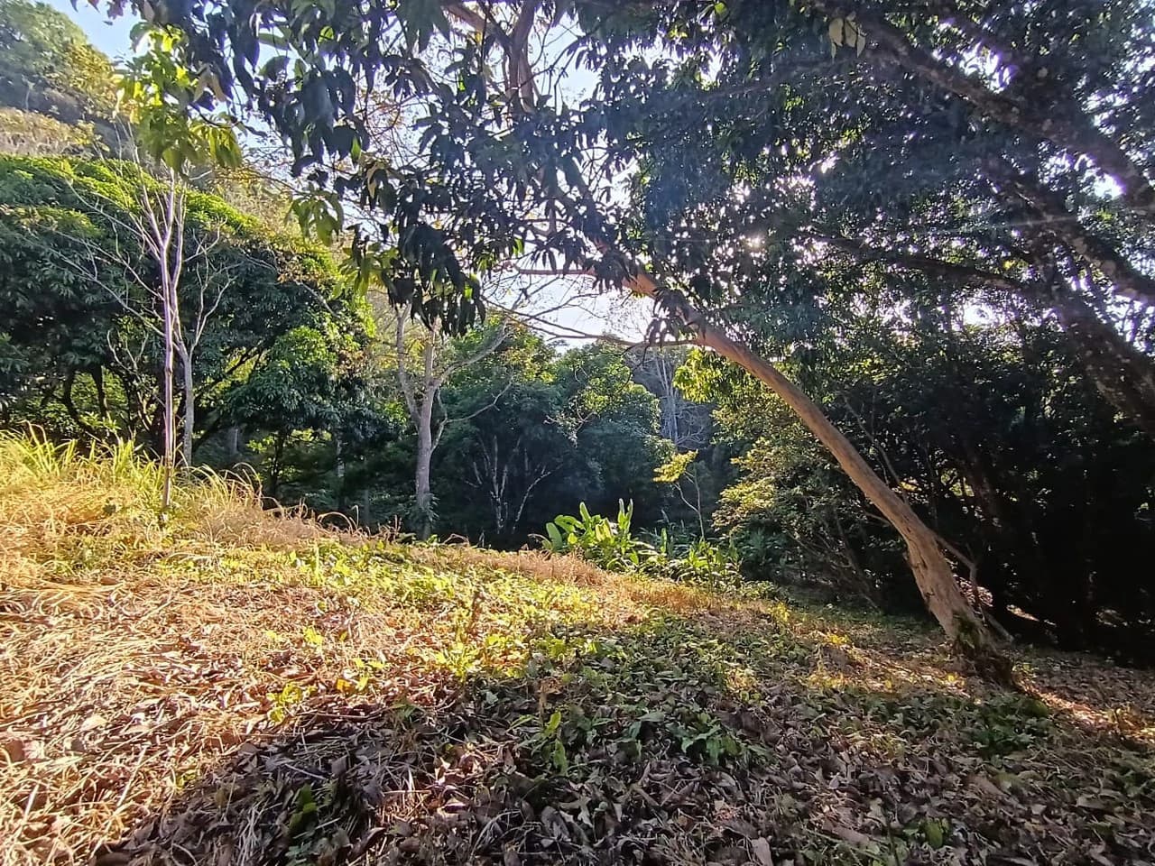 Property for sale in Ciudad Colon San José Costa Rica - photo 10