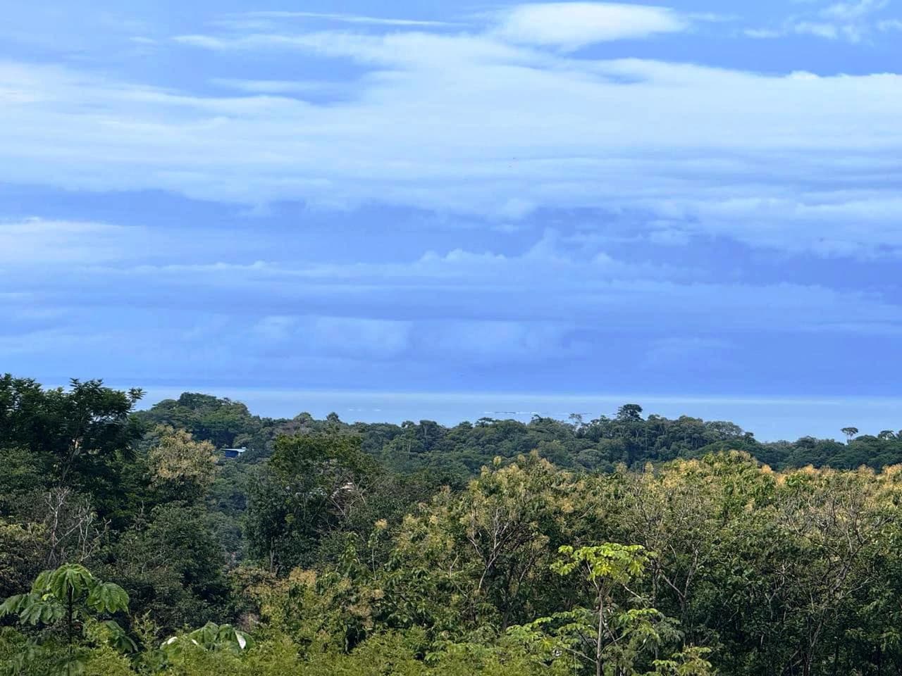 Prime Ocean View Development Property in Downtown Uvita - photo 18
