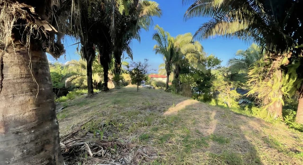 Exclusive Hermosa 1.2 Acre Lot with Panoramic Mountains and Ocean View. - photo 15
