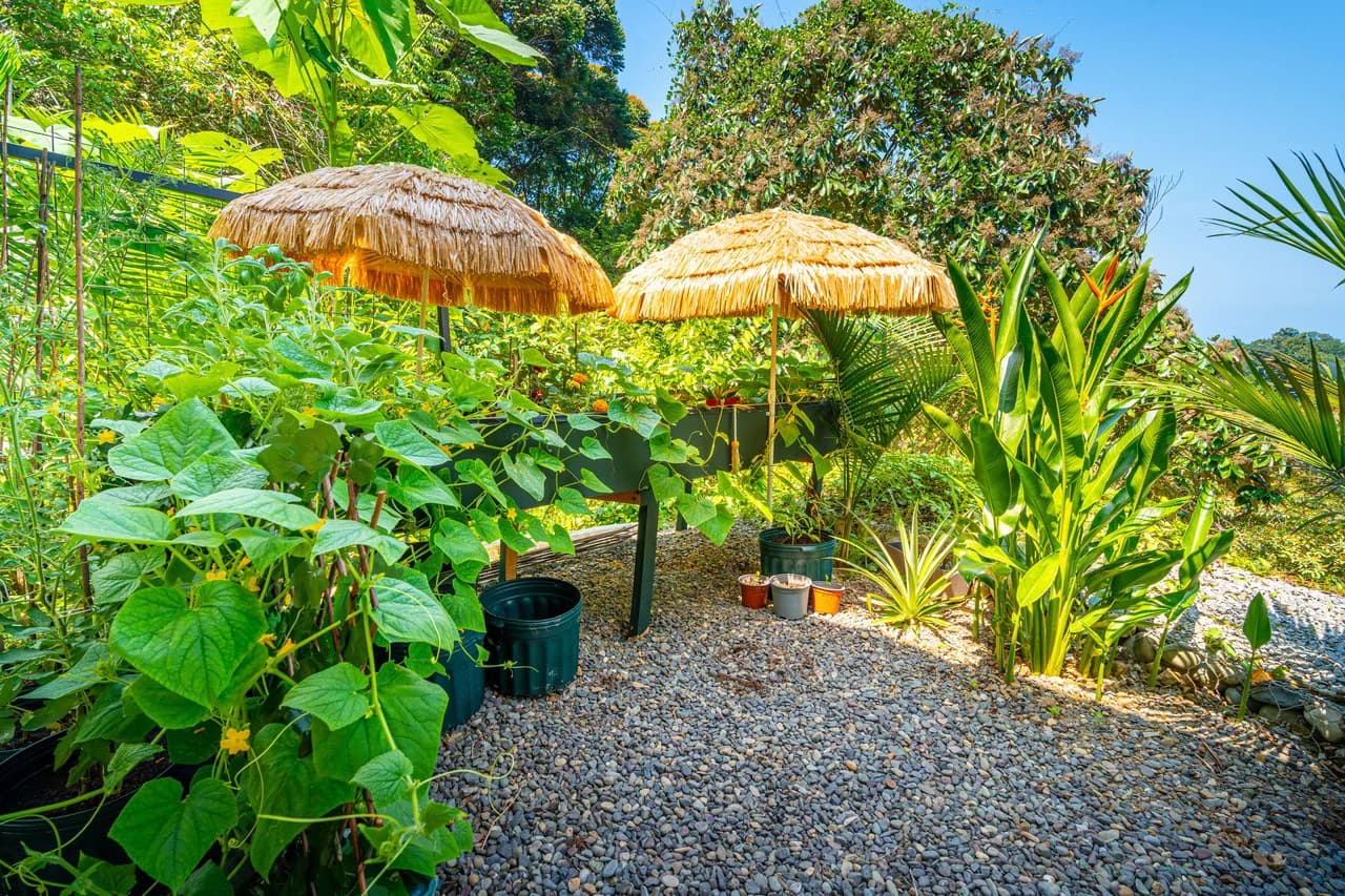 Mountain House For Sale in Escaleras - photo 89