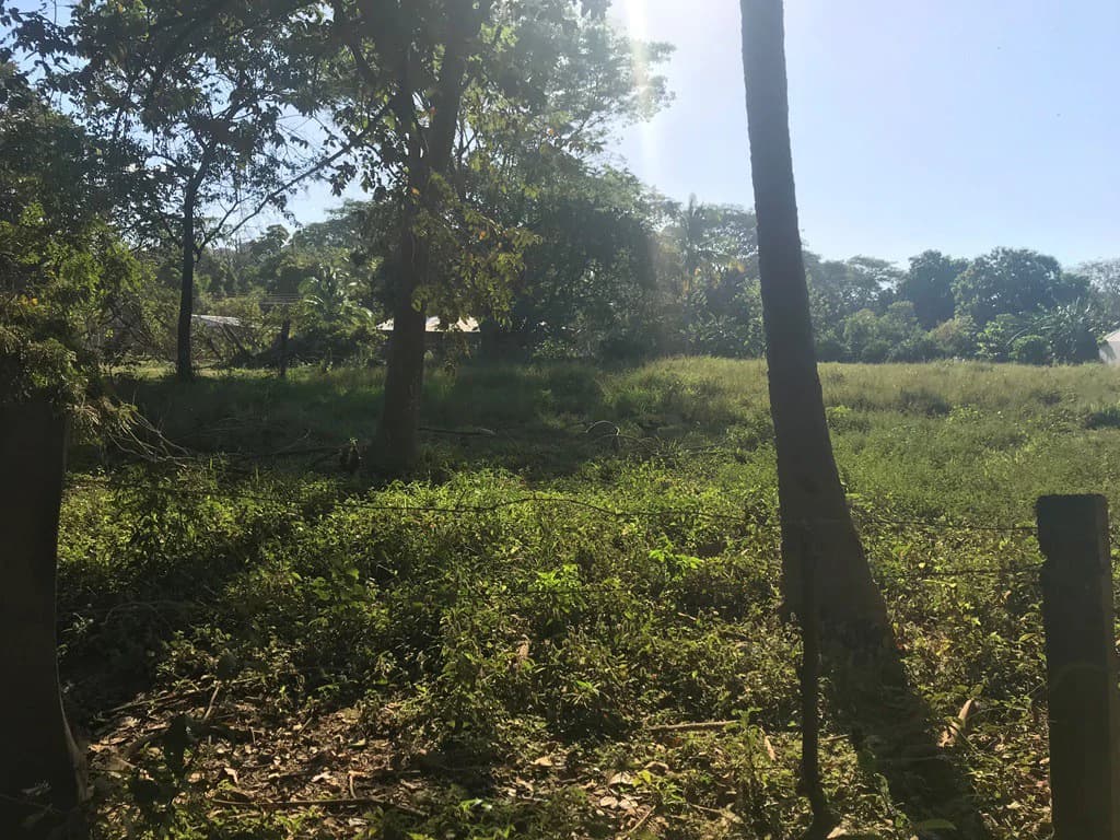Large beach property in Playas del Coco - photo 10