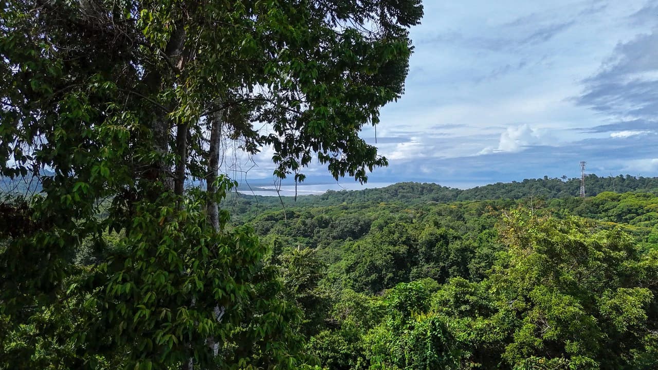 Spectacular Ocean view on 7.7 acres: Mountain Home Construction Site For Sale in Bahía Ballena - photo 2