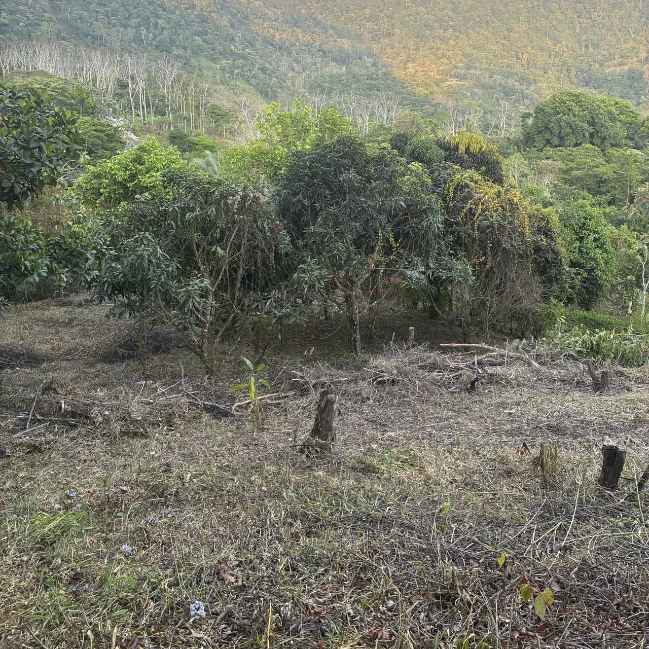 Ocean & Mountain View Lot with Multiple Building Sites-20 Minutes from Uvita - photo 6