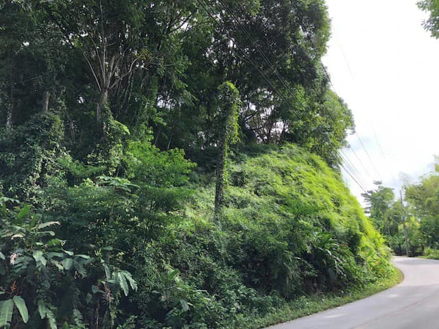 6.5 ACRES – Space To Grow, Build & Thrive, Close To The Beach & Commercial Potential Road Frontage!!!!!: Mountain and Countryside Development Parcel For Sale in Platanillo de Dominical - photo 4