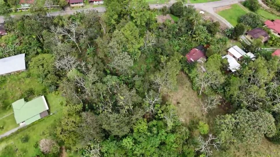 Countryside Home Construction Site For Sale in Daniel Flores - photo 2