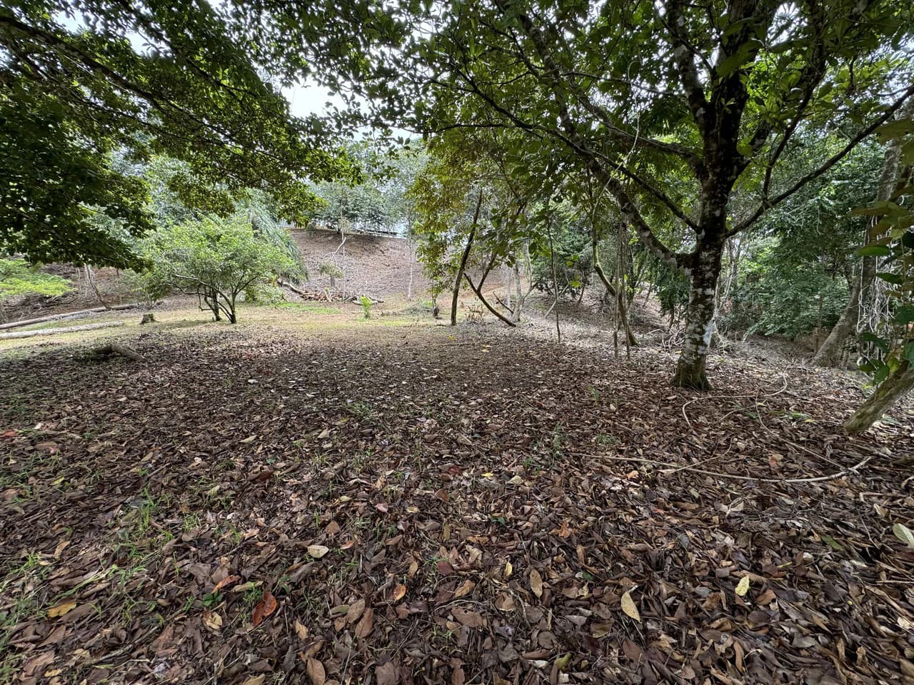 Diamante Waterfall View Land in Dominical 2.9 Acres - photo 17