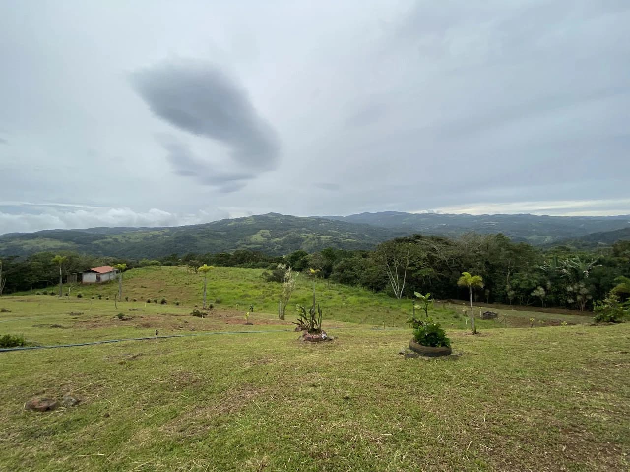 Countryside House For Sale in Alfaro - photo 20