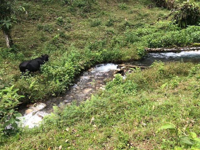 Hot and Cold Thermal Springs for Sale – Beautiful Property in Dos Ríos, Alajuela with Excellent Commercial Potential - photo 12