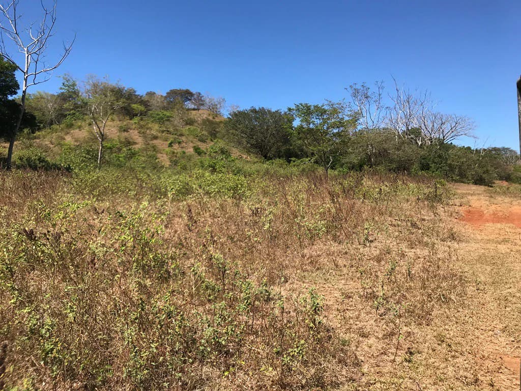 Ocean view farm for sale in the mountains of San Juanillo - photo 9