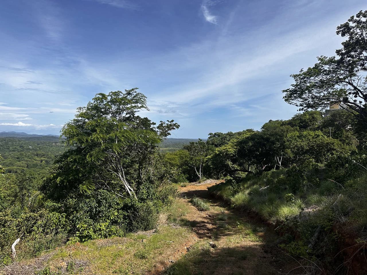 Ocean View Lot Negra Beach: Ocean View Hilltop Lot In Negra Beach, Finca Los Pargos - photo 13