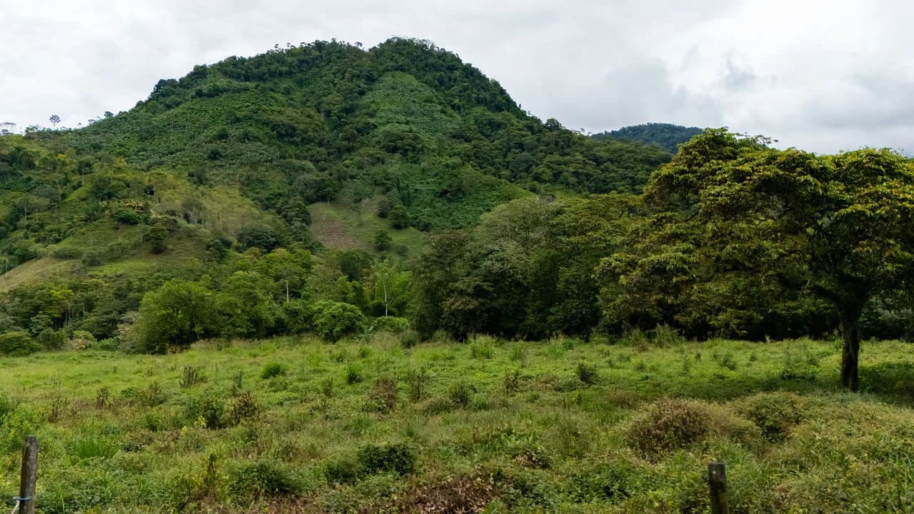 Mountain Home Construction Site For Sale in Río Nuevo - photo 20