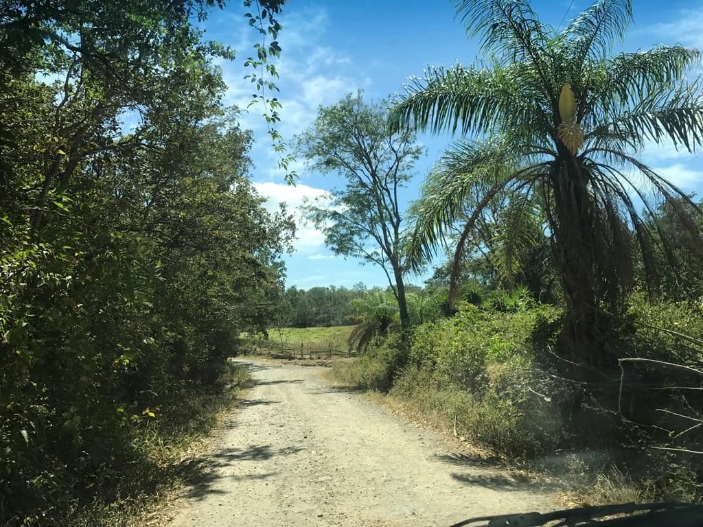 Huge farm for sale in Mogote de Bagaces, dream farm for horses or cows, 45 minutes away from Liberia - photo 4