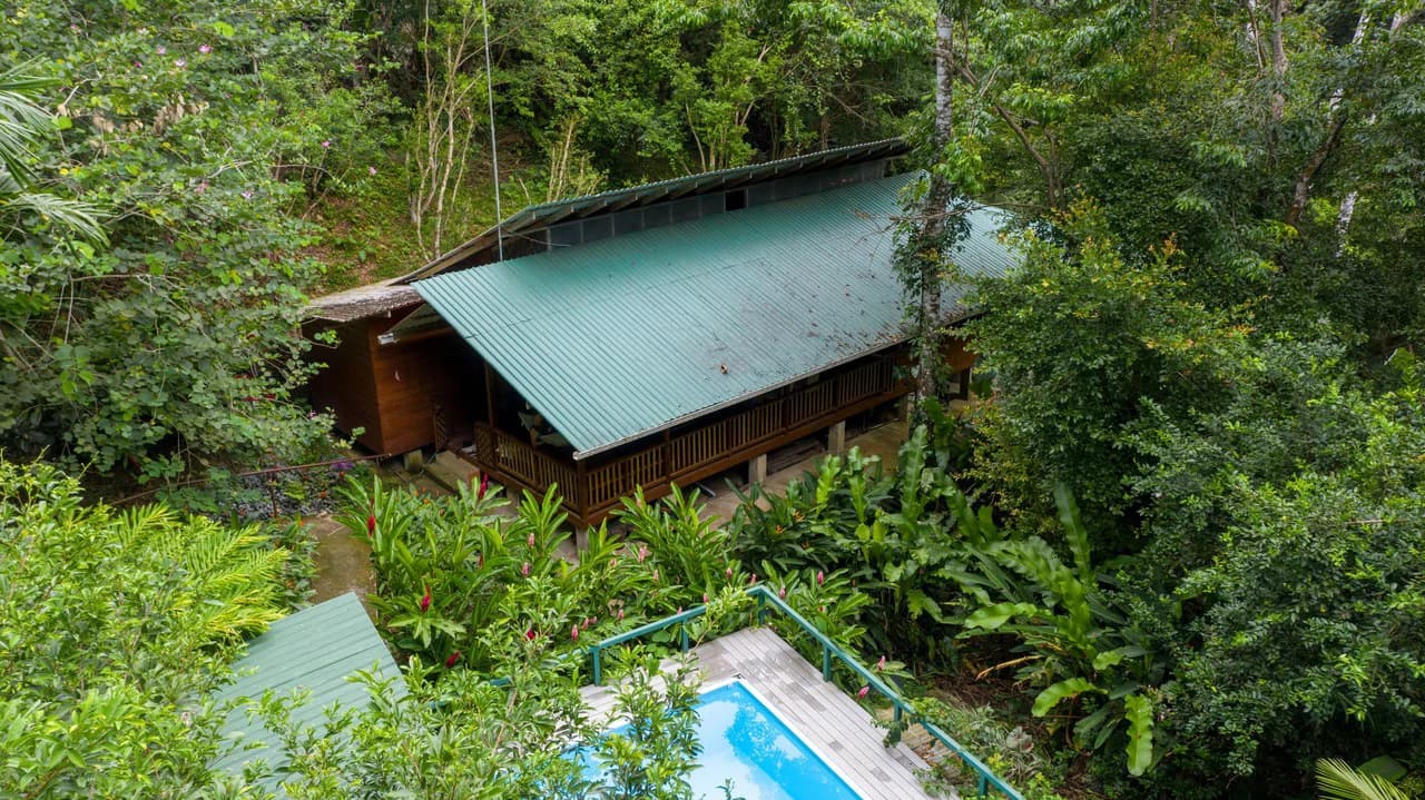 4 Bd/3 Ba - Two Caribbean Homes w/ Pool, on 5000m²: Dual Home Jungle Property in Punta Uva - photo 27