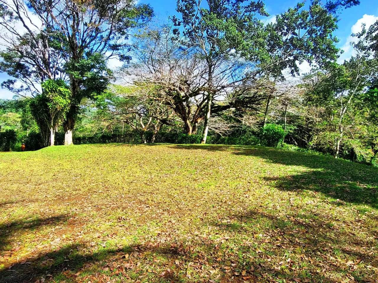 RAINBOW BAY - Beautiful 3.5 acre Lot in Gated Community - photo 8