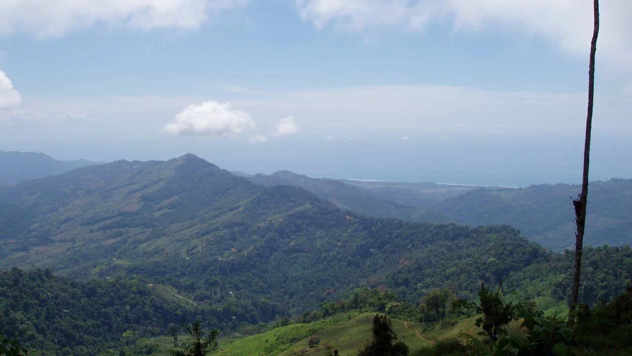 Off Grid 70-Hectare Farm with Stunning Ocean Views and Freshwater Springs