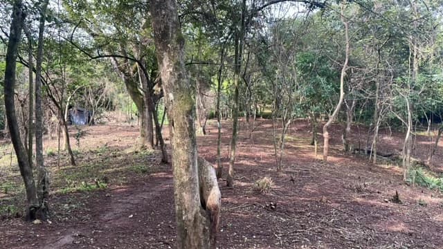 Beautiful Property for Sale in the Mountains of San Juanillo – Prime Land with Building Potential Just 10 Minutes from the Ocean - photo 4
