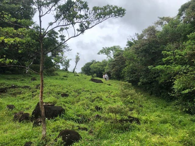 Warm Spring Mountain Property in a tropical landscape and antique wooden house, 50 minutes from Liberia city - photo 8