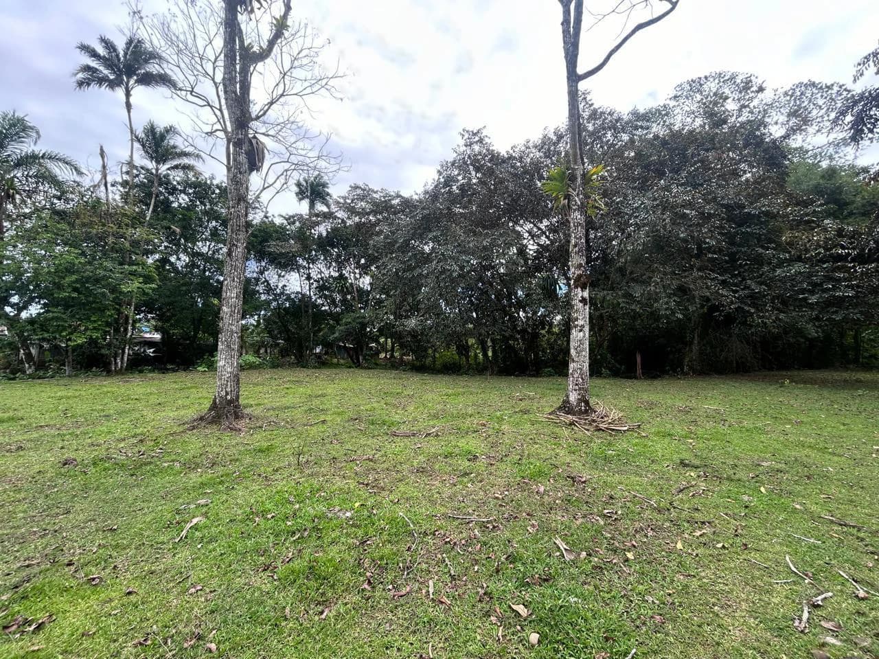 Land for Sale 4803 m2: Over 1 acre - photo 8