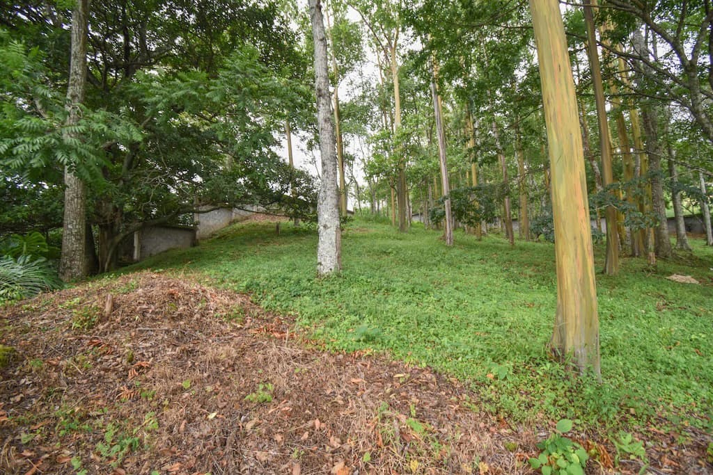 Terreno de 1340.21m2 en Condominio Hacienda Cocoy: Home Construction Site For Sale in Guachipelín - photo 2