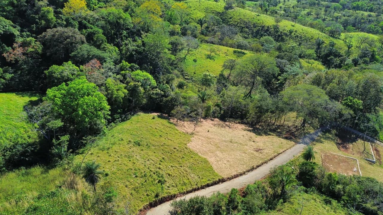 Finca Martine: 3 Platforms, Ready to Build - photo 5