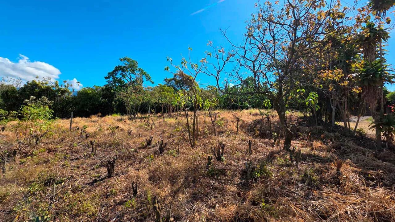 Lot for sale in Grecia, Costa Rica - photo 5