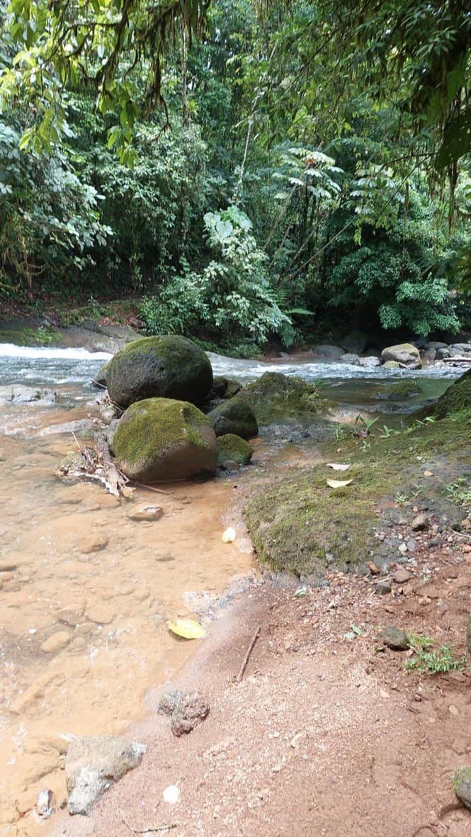 SECLUDED PARADISE WITH STUNNING VIEWS, WATERFALLS & ABUNDANT WILDLIFE - photo 7