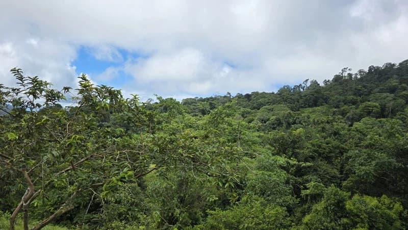 116-Hectare Finca for Sale Near Uvita with Whales Tail Views and 10 Waterfalls | La Faralla, Bahia Ballena, Uvita, Puntarenas, Costa Rica - photo 40