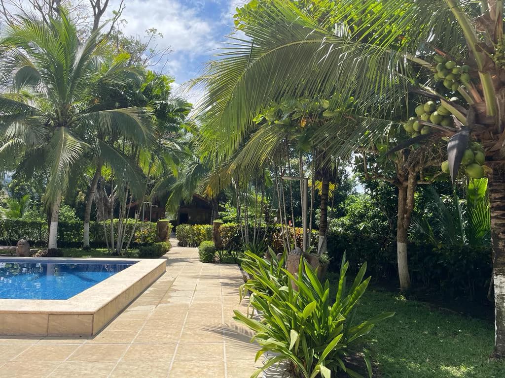 3 houses for sale with ocean views, gardens and mountains Orotina Costa Rica - photo 5