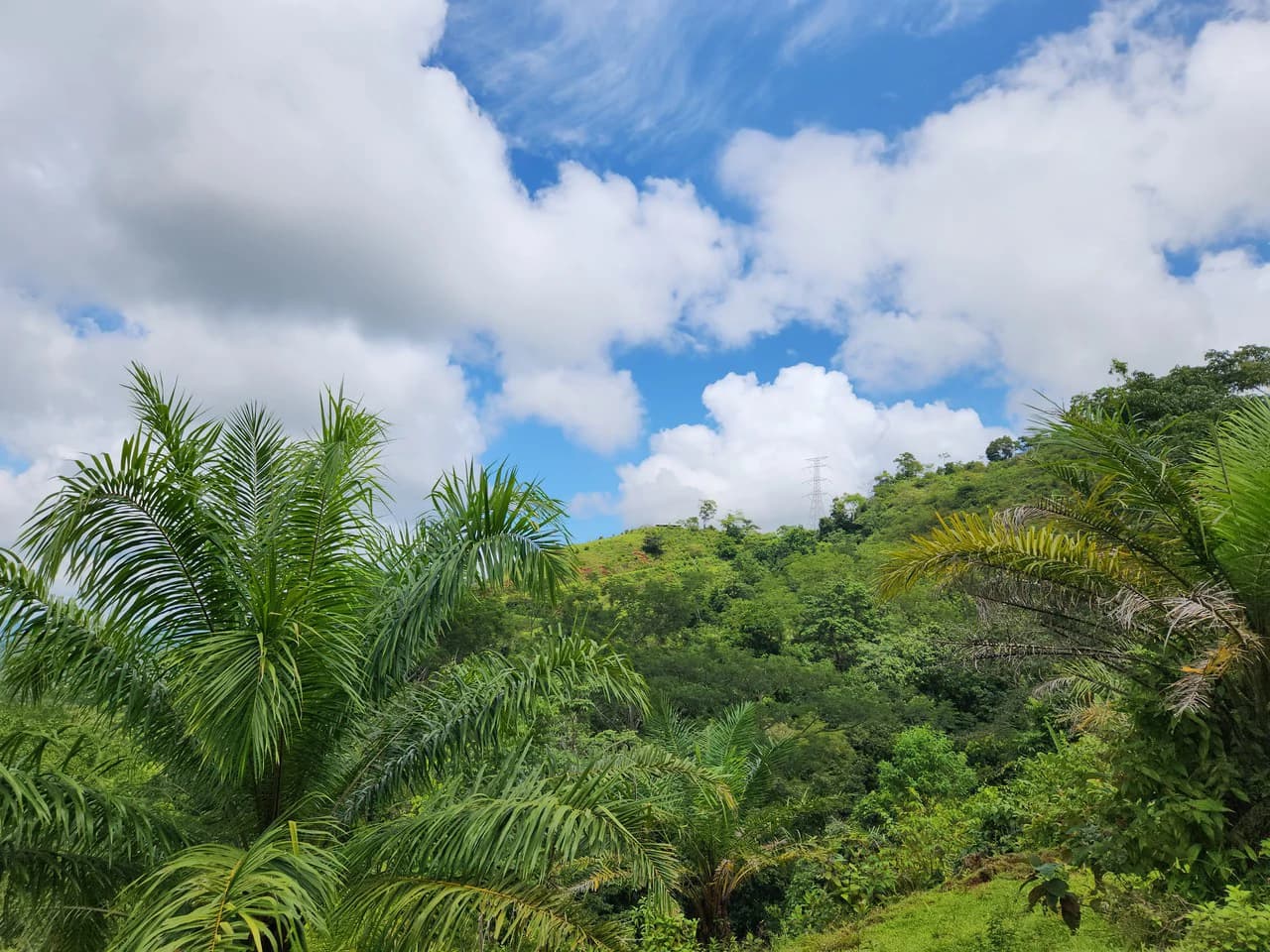 PRIME PARRITA FARM FOR SALE - photo 18