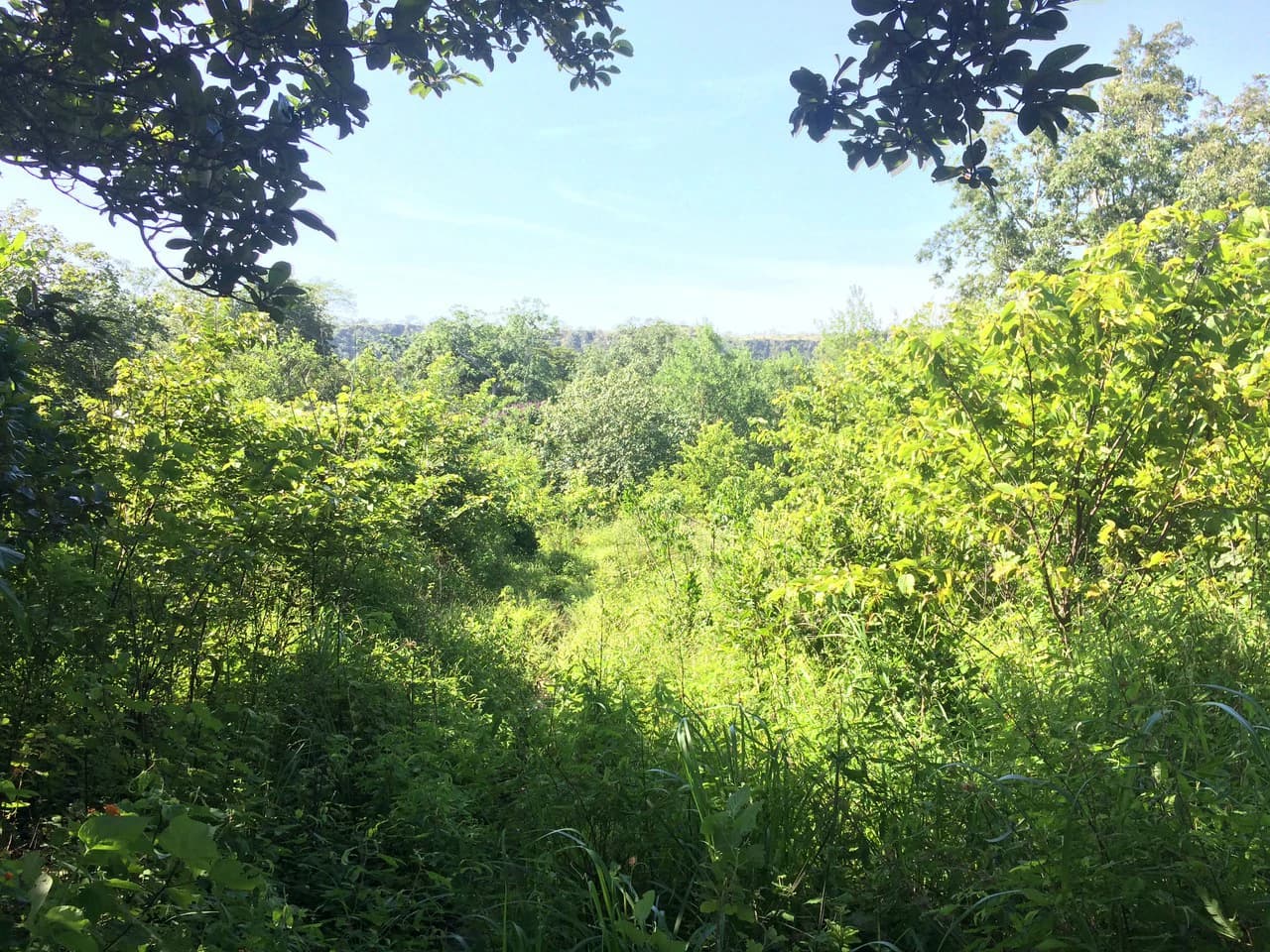 Finca de 31 hectáreas en Liberia: Great investment opportunity - photo 9