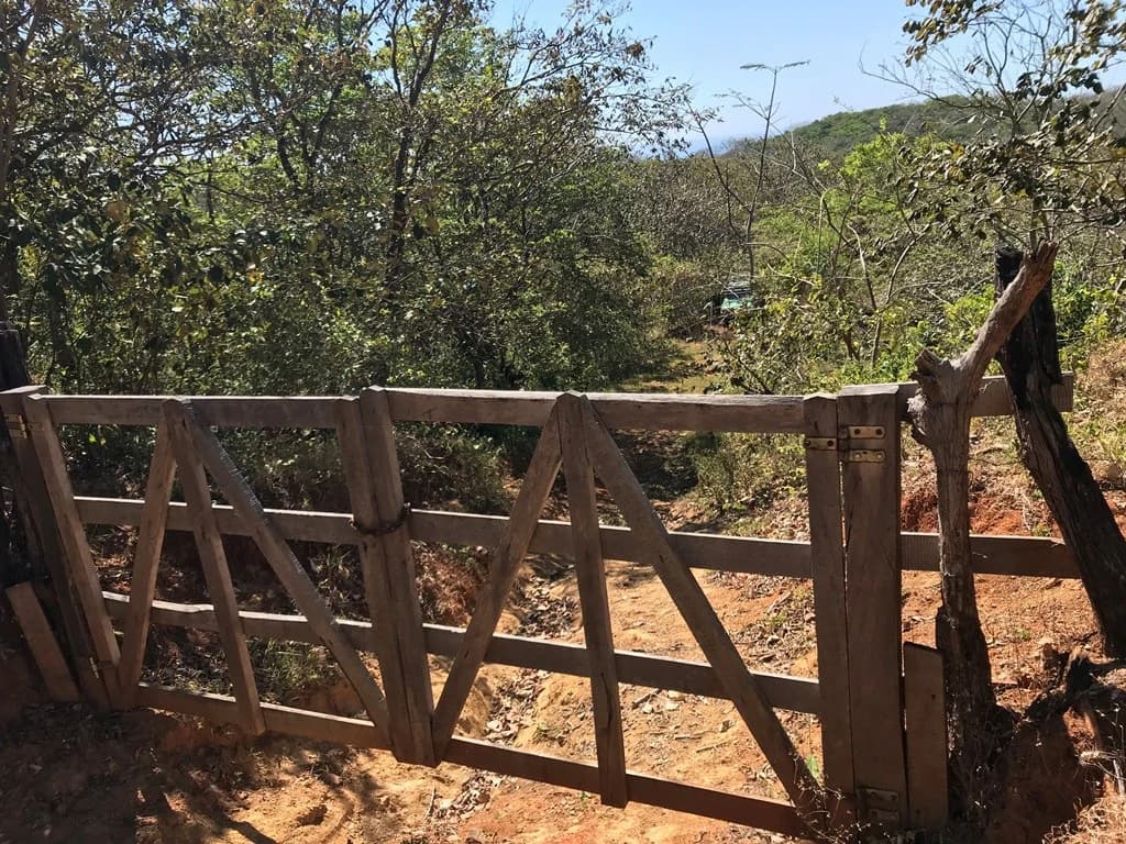 Ocean view farm for sale in the mountains of San Juanillo - photo 5