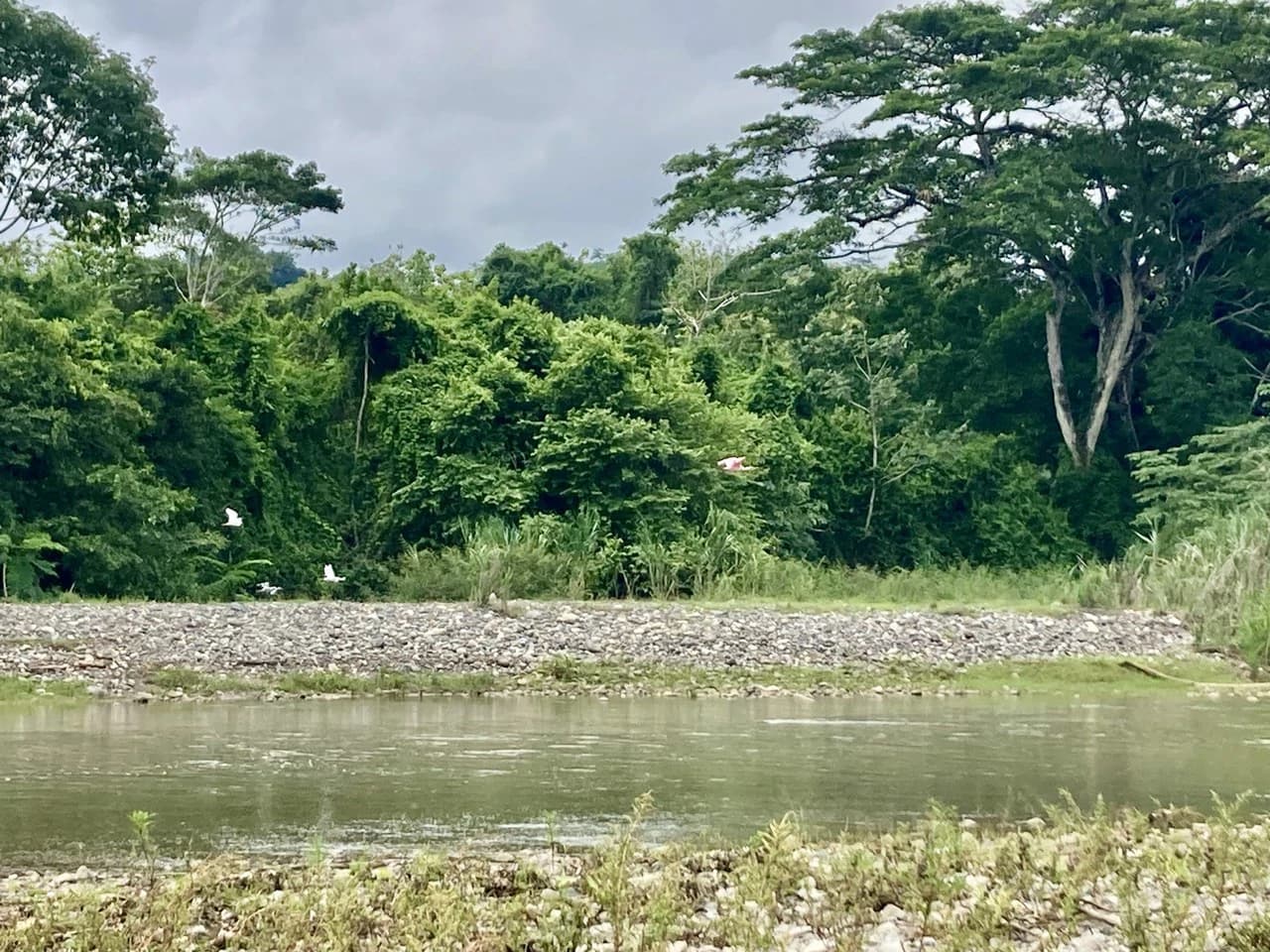 Frog Desing House: Property for Sale in Parrita, Costa Rica - photo 37