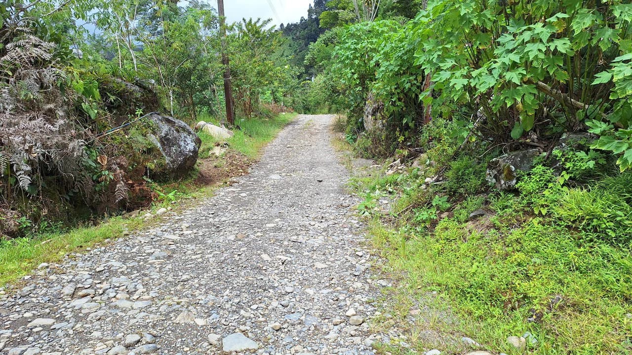 Propiedad en cedral: Mountain Home Construction Site For Sale in Cajón - photo 16